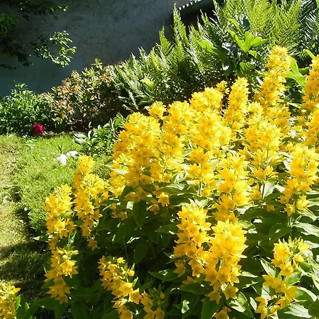 Ferienbungalow Nautik Apartment *