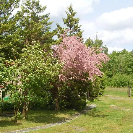 Ferienbungalow Nautik Apartment *