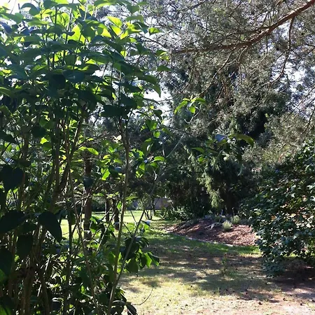 Apartment Ferienbungalow Nautik